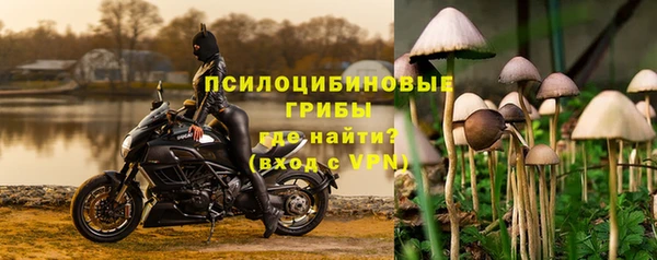 гидропоника Нязепетровск