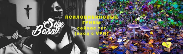 стафф Алексеевка