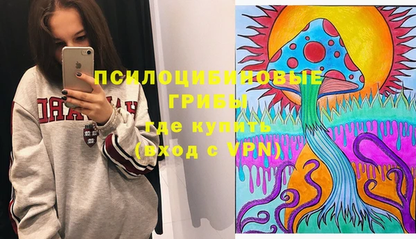 a pvp Алзамай