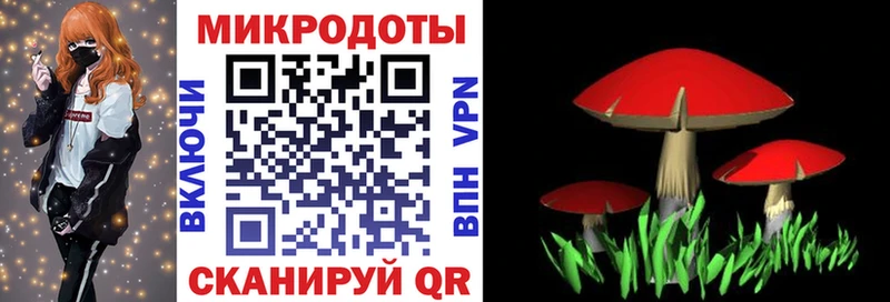 Галлюциногенные грибы Magic Shrooms  Мензелинск 