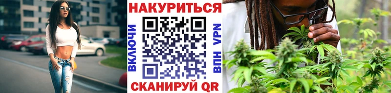 купить наркоту  Мензелинск  Шишки марихуана конопля 